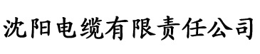 偷自拍亚洲电缆厂logo